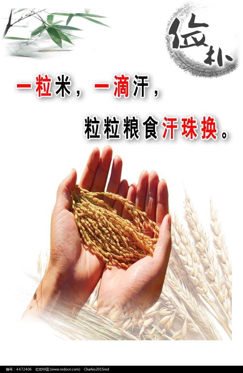 圣托玛斯大学 Design degree certificate